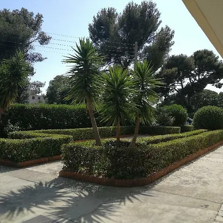 2 Pieces Avec Balcon Apartment *